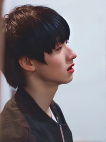 TOP登陆少年：小狗养成日志