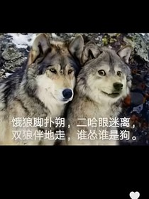 小孔的普通人生