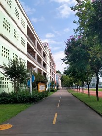 青梅竹马陈意