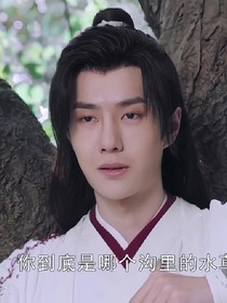 陈情令之忘月情