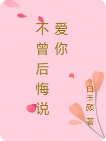 不曾后悔说爱你