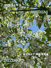 栀子开，故人散