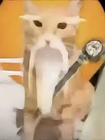 画画画画画的