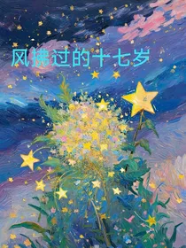 风拂过的十七岁