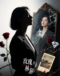 玫瑰与墓碑：她的影子战争