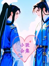 小说合集V