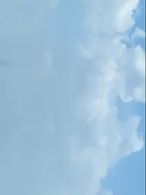 雷怡和卡米尔的日常