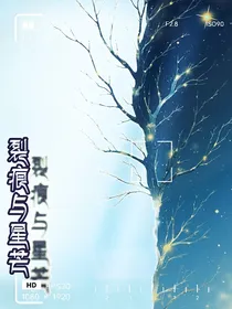 裂痕与星芒