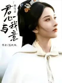 朝雪录：君心与我意
