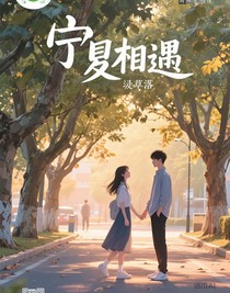 宁夏相遇