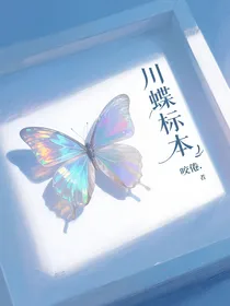 川蝶标本（江川蝶变）