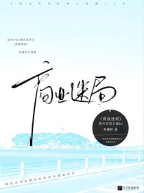 商战迷局