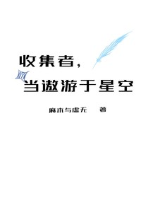 收集者，当遨游于星空