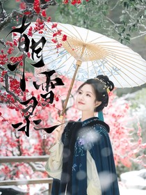朝雪录：我的宠妃娘娘