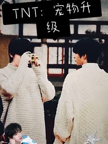 TNT：宠物升级