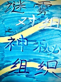 谜雾对组（1）之神秘组织