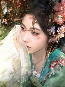 朝雪录：花月夜