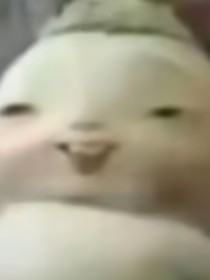 画些画咯