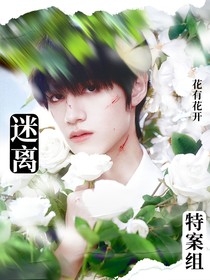TF三代—迷离特案组