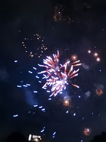 作文小学初中素材