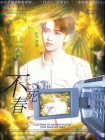 TNT：不死春