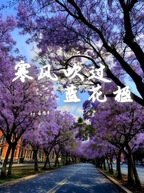 寒风吹过蓝花楹
