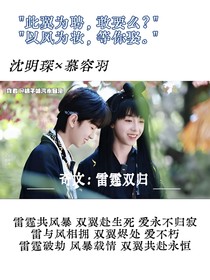 奇文：雷霆双归
