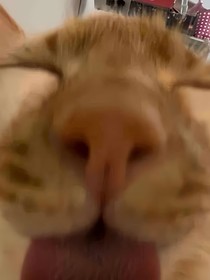 凹凸：宝石的苦恼