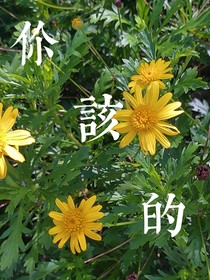 你该的