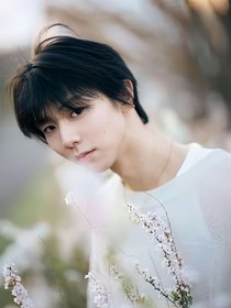 一羽落心间