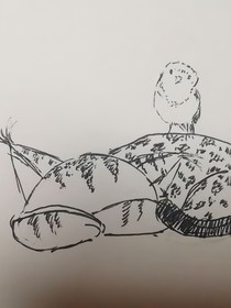 猫六的备忘录
