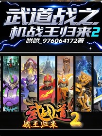 武道战之机战王归来2