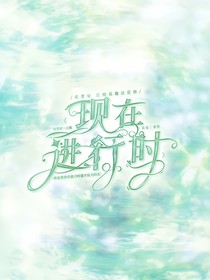 卡米尔：他的银色情书