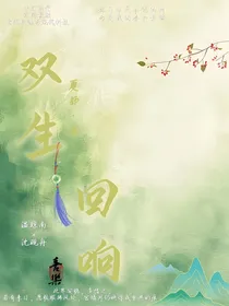 双生回响