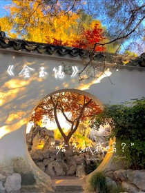 长安雪又落（谢回同人）