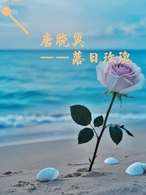 唐晓翼：落日玫瑰