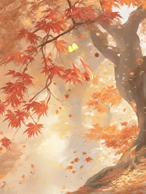 归枫