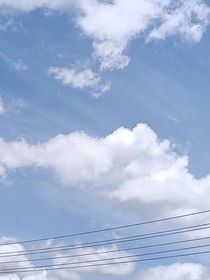 沙瑞金之磐石