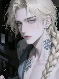SJ芒酥