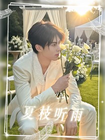 夏枝听雨