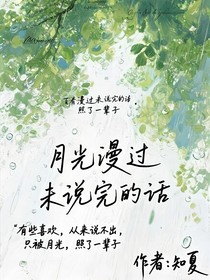 月光漫过未说完的话
