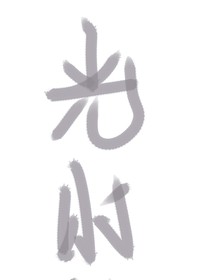 陆光程小时白黑