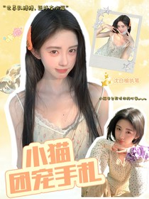 开推3：小猫团宠手札