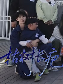 枯树长疤