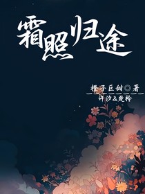 霜照归途