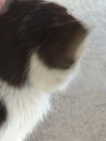 不可能的故事