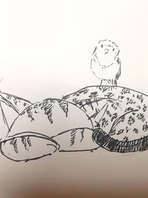 猫六的备忘录
