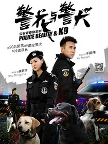 花犬新征程