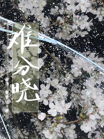 难分晓（冬浩）