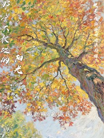 那片不敢碰的阳光